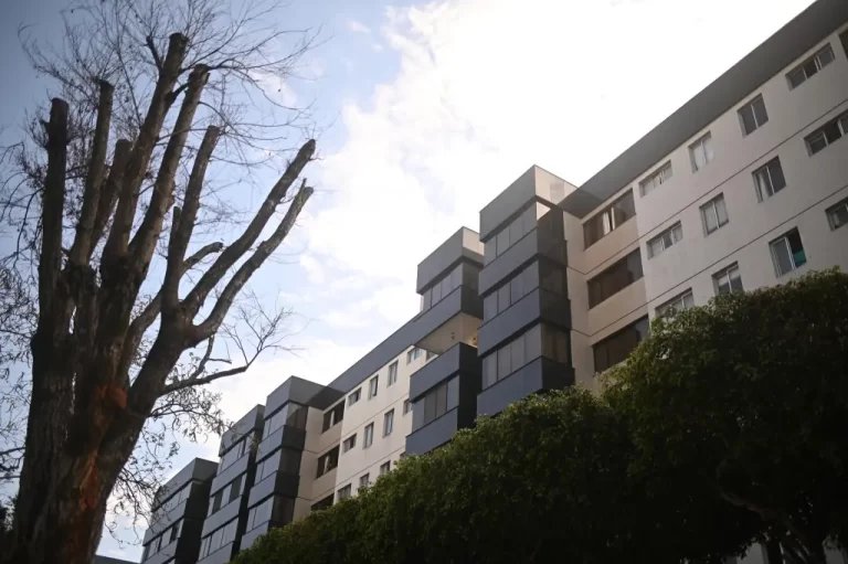 rss-efe4b8102817cc53eee9a65f1b57caac3a38d1ae531w-1024x681-1