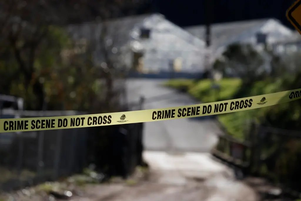 rss-efe9bac009a16adbb96fae9e2dd7eb60ef749821f5fw-1024x683-1