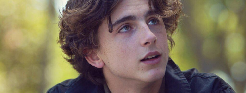 timothee-chalamet-participa-y-pierde-en-un-concurso-de-gente-parecida-a-timothee-chalamet