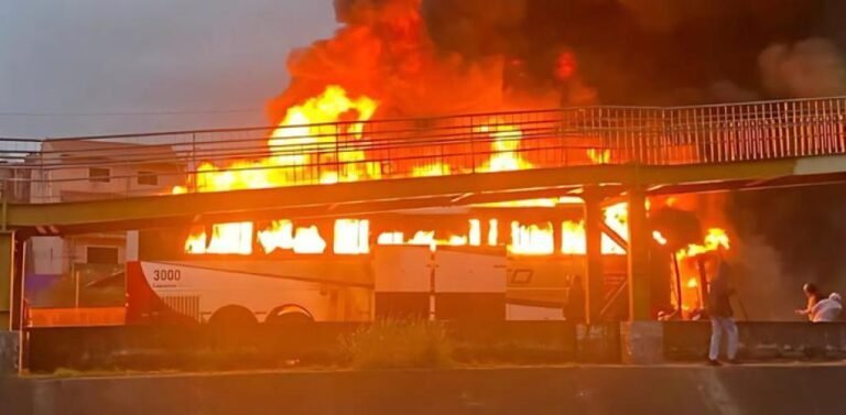un-muerto-y-12-heridos-tras-una-emboscada-de-los-hinchas-del-palmeiras-a-los-del-cruzeiro