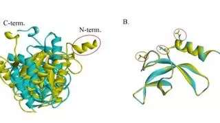descubren-en-la-estacion-espacial-china-una-bacteria-con-una-caracteristica-inedita-sobrevive-a-condiciones-extremas